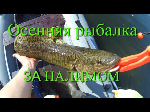 Осенняя рыбалка. За налимом. Рыбалка в Иркутске