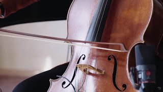 Challem - Fall (Live version)