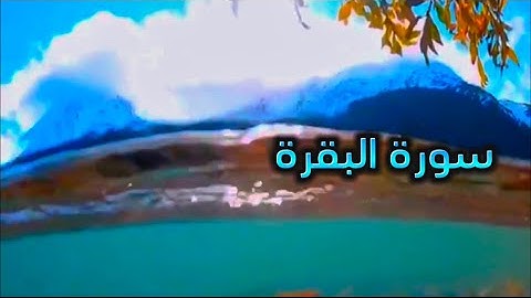 اية من سورة البقرة || القارئ بشار سراج