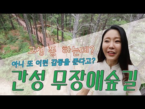 [고성군 간성읍 무장애숲길] 고성군민 모두가, 말 그대로 모두가 즐기는 달홀 무장애숲길