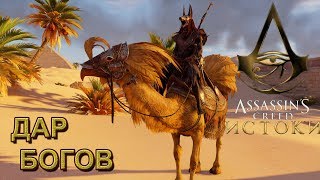 Assassin's Creed: Origins [Истоки] Задание 