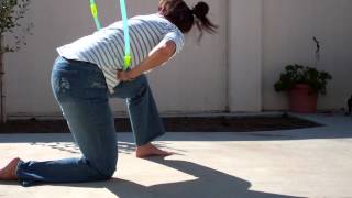 Devon's Dog Tricks - Hoop Jump Over my Back