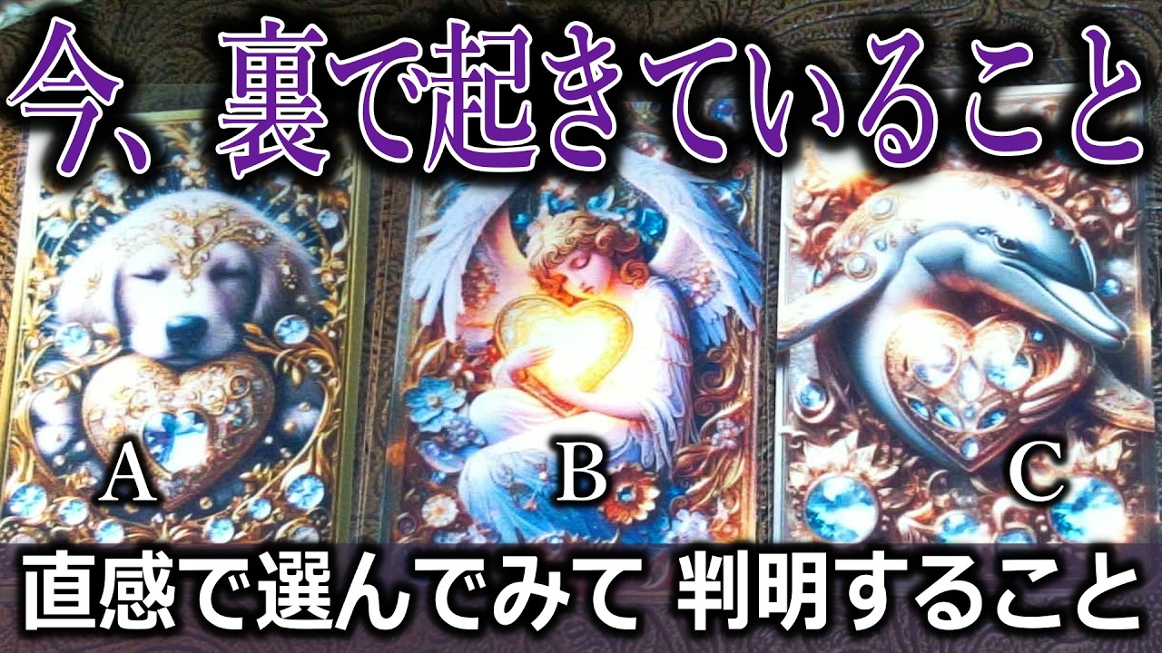 今、裏で起きていること。あなたの嫌な人間関係どうなる？タロット占い🔮