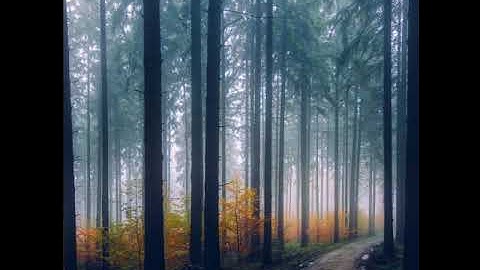 تلاوة رائعة جداً للشيخ رعد محمد الكردي تفوق الوصف