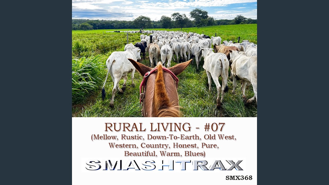 Solo Blues Guitar Tinkering