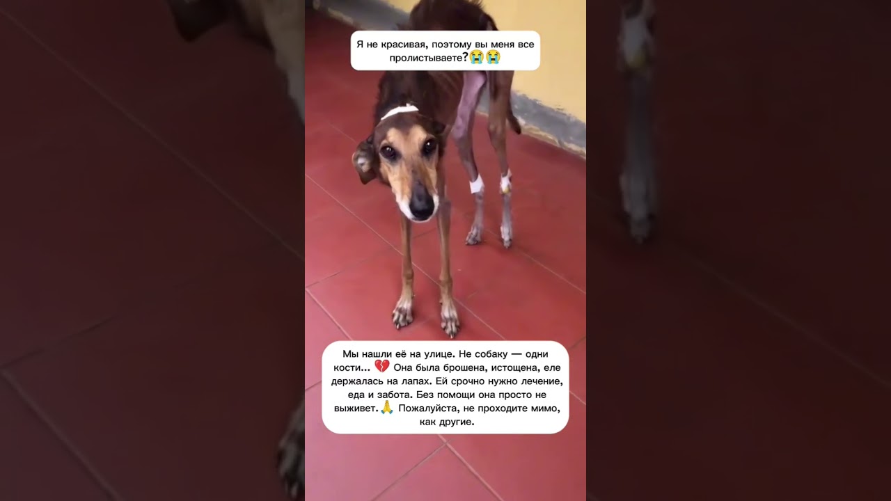 Для помощи жмите на этот текст