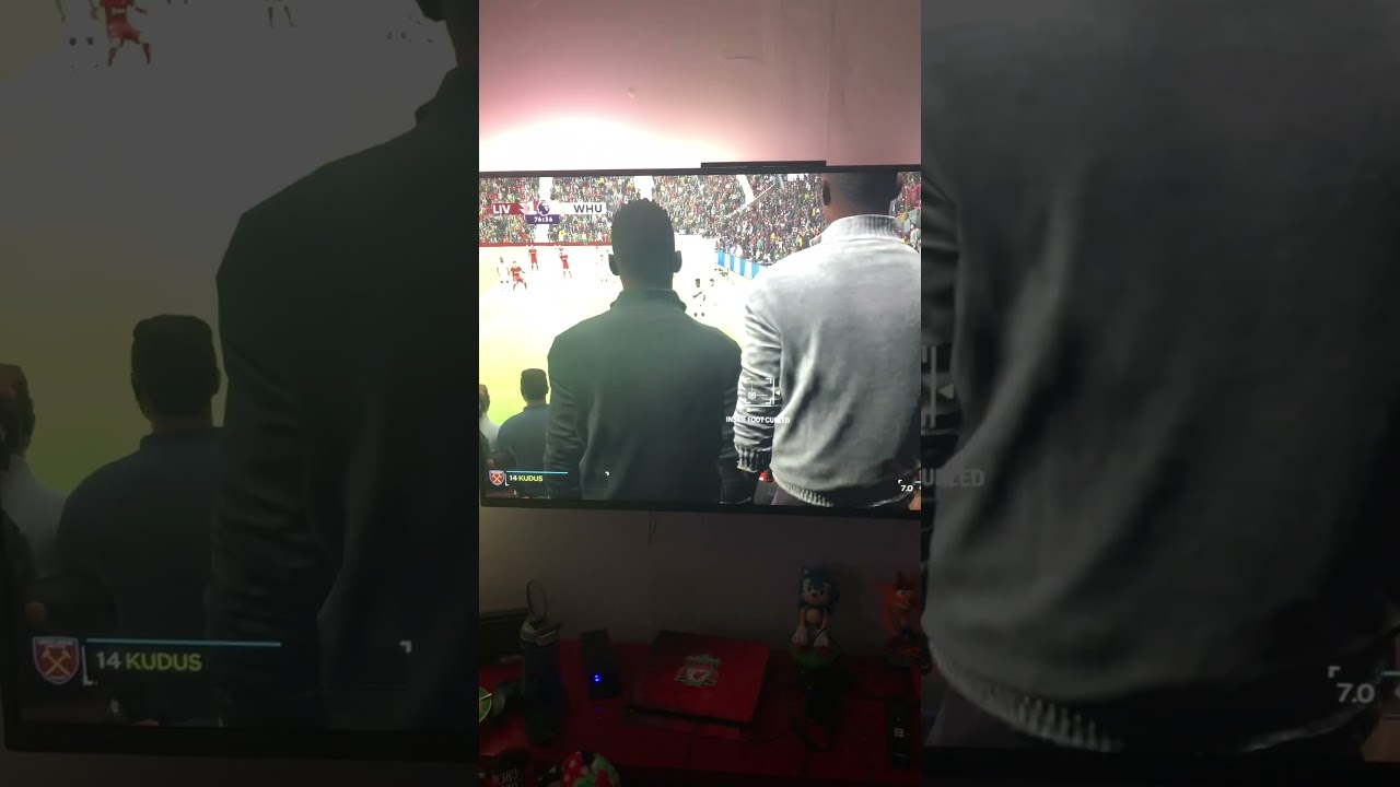 EA Sports FC 24 Glitch view through crowd 