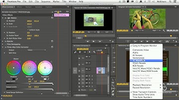 Manual Color Correction in Adobe Premiere Pro CC
