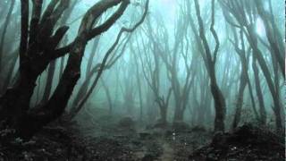 Broken but not Dead book trailer