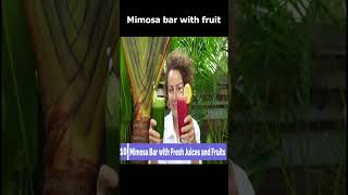 Mimosa bar with fruit