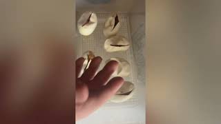 First egg cutting of 2024!!