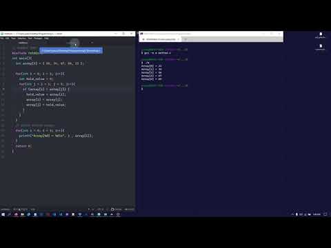 2020 30666 INSERTION SORT PART 4