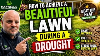 The Secret To A Beautiful Lawn When Everything Else Is Turning Brown.