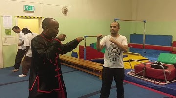 Fighting Techniques Northern Praying Mantis Kung Fu Sifu Bryan Barnes
