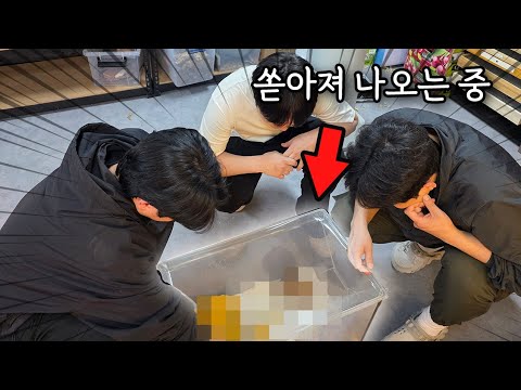 쉴틈없이 쏟아지는데 이거 <strong>감당이</strong> 될까요...???