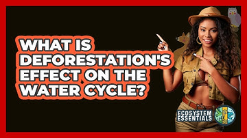 What Is Deforestation