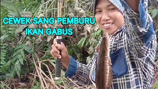 CEWEK MANCING MEMBURU IKAN GABUS MANTAP HASILNYA # CEWEK MANCING