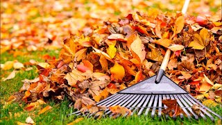 Farmers’ Almanac releases 2023 fall outlook for North Carolina