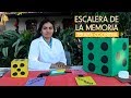 ESCALERA DE LA MEMORIA - TERAPIA COGNITIVA - ACARI