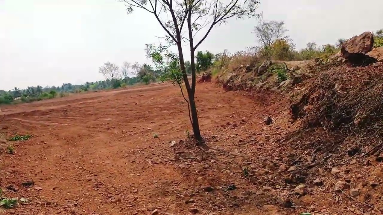 1 hekkare 33 kunte ondu hekkare price 70 laxa interested call me pH 9731757355 Kanakapura kodihalli 