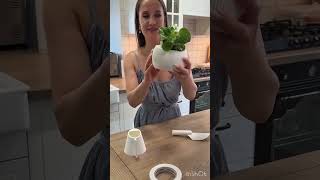 🌿 3D Printed Self-Watering Planter – Green 🪴