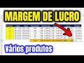 Como Fazer o Cálculo da Margem de Lucro Média no Excel de Forma Simples