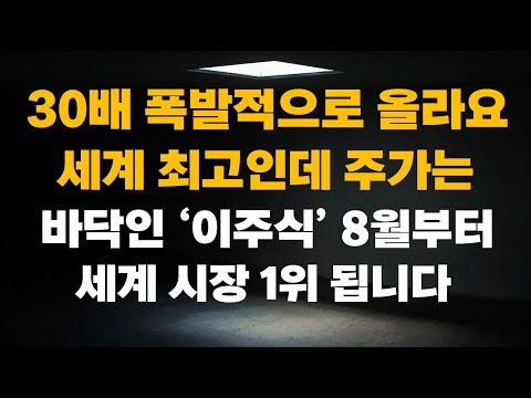 [주식] 앞으로 30배 폭발적으로 오를 겁니다. 세계 최고인데, 여전히 주가 바닥입니다. 이 주식, 세계 시장 다 먹을 겁니다[저평가대장주, 포스코홀딩스, 주식전망, 8월주식전망]