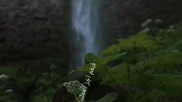 المقرئ مباركـي عبد الالٰه تلاوة عطرة 🌹💚