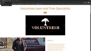 Voluntrees | Local SEO Audit | Tae Results