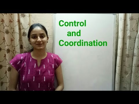 Control and Coordination | Life processes part-7 | Biology class 10 | Lecture 23