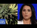 Tulsi Gabbard on cannabis bill: "End America's destructive and costly war on drugs"