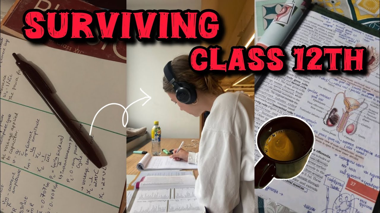 SURVIVING CLASS 12TH🤕💔 ||BOARD PREPRATION ✍🏻 || STUDY VLOG 📕📖