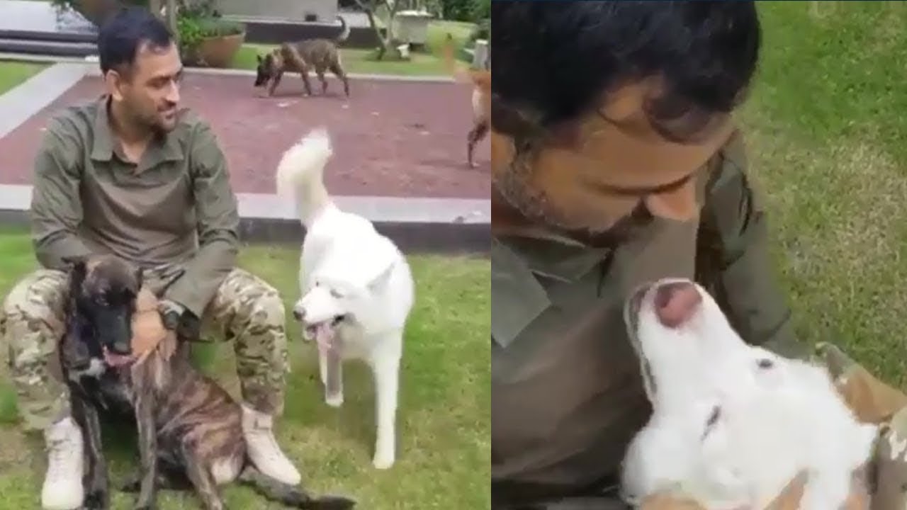 MS Dhoni's dog squad / MS DHONI NEW Video Playing with his DOG