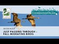 Just Passing Through--Fall Migrating Birds | Webinar