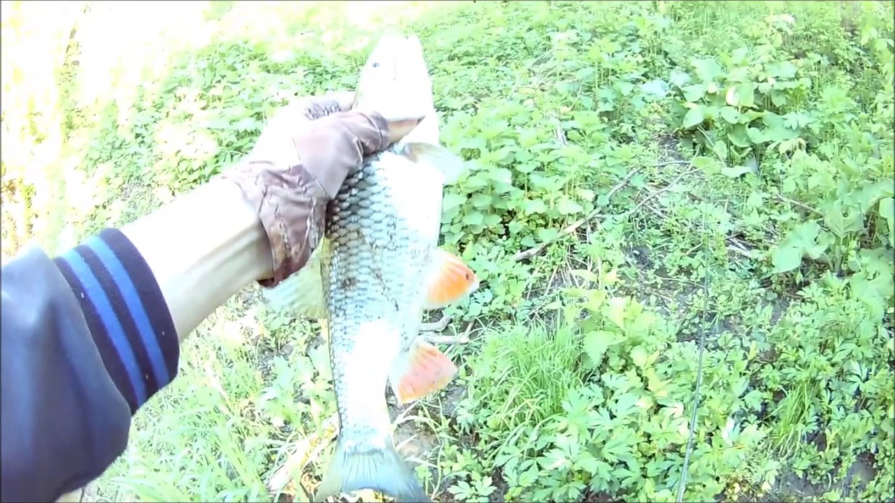 Рыбалка в набережных челнах Рыбалка в набережных челнах