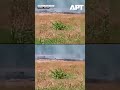 WATCH: Fireball Erupts After Turkish F-16 Crashes in Yalova, Pilot Ejects Safely | APT