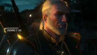 The Witcher 3: Wild Hunt Blind Part 292: Lost Treasures(Blind Let's Play)