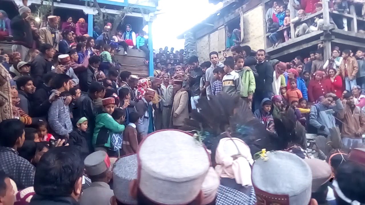 Paldi faguli thatibir 2018