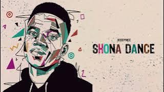 Buddynice - Shona Dance (Visualizer)