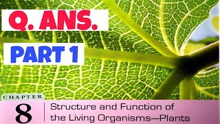 DAV CLASS 6 SCIENCE CHAPTER 8 STRUCTURE AND FUNCTION OF THE LIVING ORGANISMS PLANTS QUESTION ANSWER