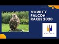 Vowley Falcon Races 2020 | Mocha the Saker Falcon | Training and results