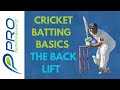 CRICKET COACHING - BACKLIFT BASICS | BATTING BASICS