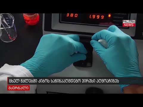 ცხელ წყლებში კიბოს საწინააღმდეგო ვირუსი აღმოაჩინეს