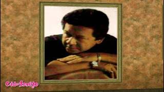 1964 - Altemar Dutra - Maldito (Bolero)