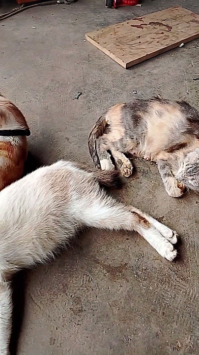 Suka-suka Kelen aja deh🤭