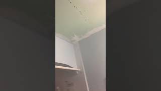 A Wall Diaper? Clean Floors