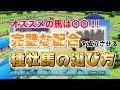 【ダビスタ switch 攻略 スイッチ】配合の頂点 完璧 おすすめはあの種牡馬だ！