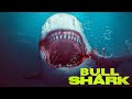 Bull Shark (2022) [Action] [Horror] 🦈 Full movie with Thom Hallum, Billy Blair, Lindsey Marie Wilson