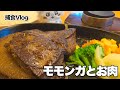 【捕食】モモンガとお出かけ #ちいかわ