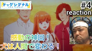 ドッグシグナル 同時視聴